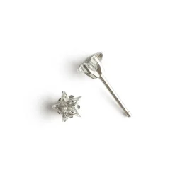 Simply Whispers Crystal Star Stud Earrings Online