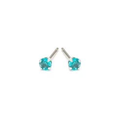 Simply Whispers December Birthstone Stainless Steel Stud Earrings Hot