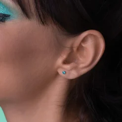Simply Whispers December Birthstone Stainless Steel Stud Earrings Hot