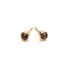 Simply Whispers February Birthstone 14k Gold Plated Earrings Online