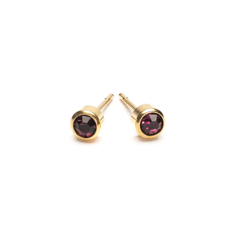 Simply Whispers February Birthstone 14k Gold Plated Earrings Online
