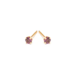 Simply Whispers February Birthstone 14k Gold Plated Stud Earrings Fashion