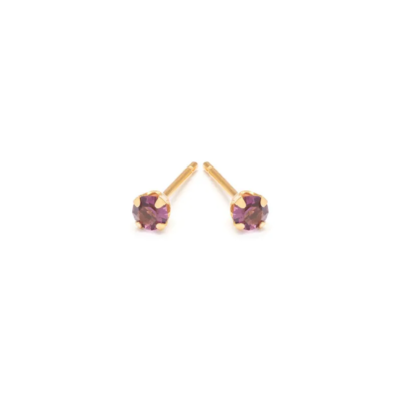 Simply Whispers February Birthstone 14k Gold Plated Stud Earrings Fashion