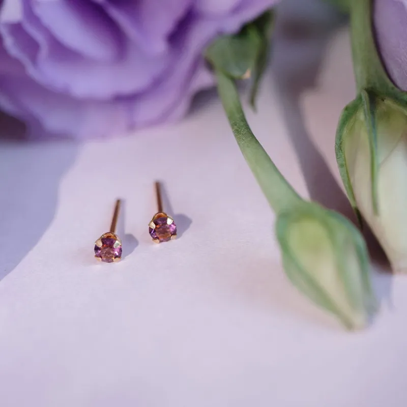 Simply Whispers February Birthstone 14k Gold Plated Stud Earrings Fashion