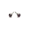 Simply Whispers February Birthstone Stainless Steel Earrings Discount