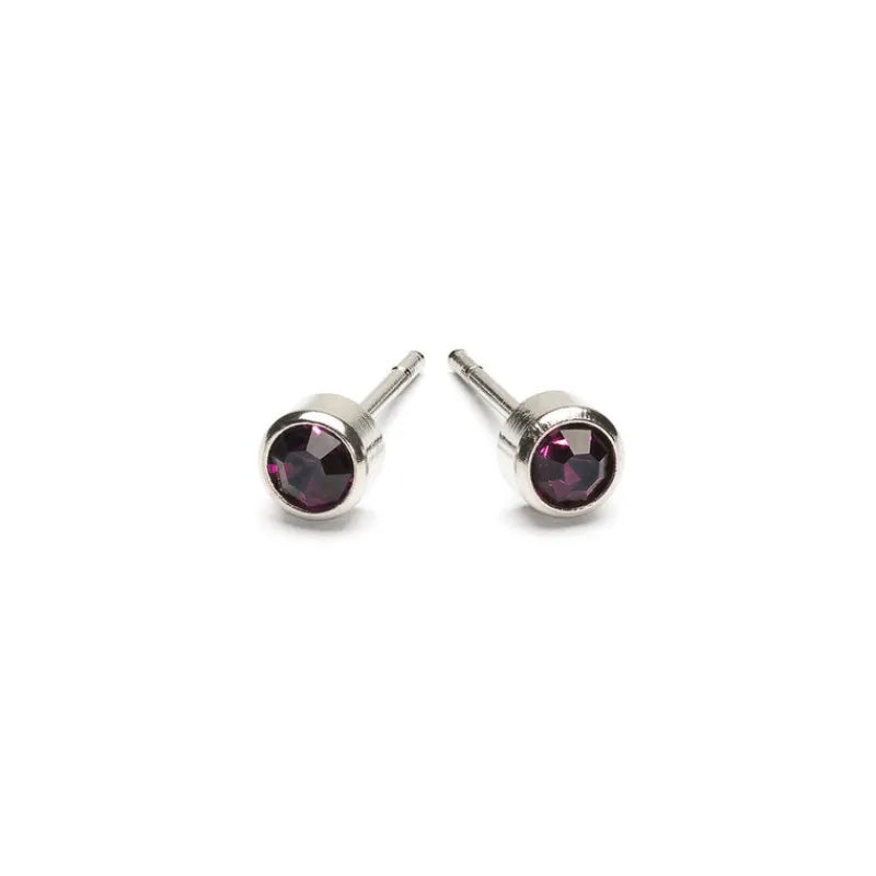 Simply Whispers February Birthstone Stainless Steel Earrings Discount