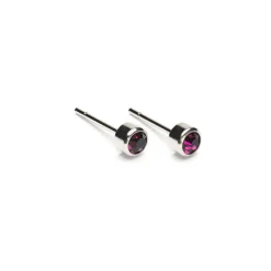 Simply Whispers February Birthstone Stainless Steel Earrings Discount