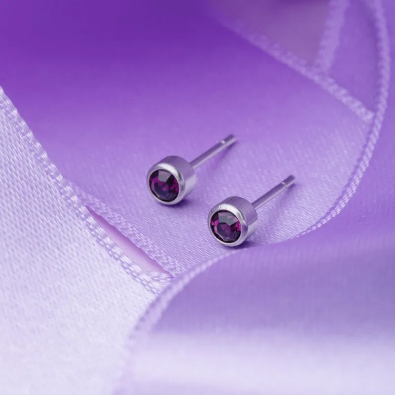 Simply Whispers February Birthstone Stainless Steel Earrings Discount