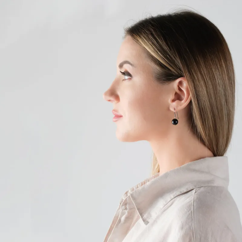 Simply Whispers Genuine Black Onyx Niobium French Hook Earrings Hot