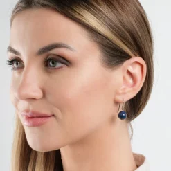 Simply Whispers Genuine Lapis Niobium French Hook Earrings Best
