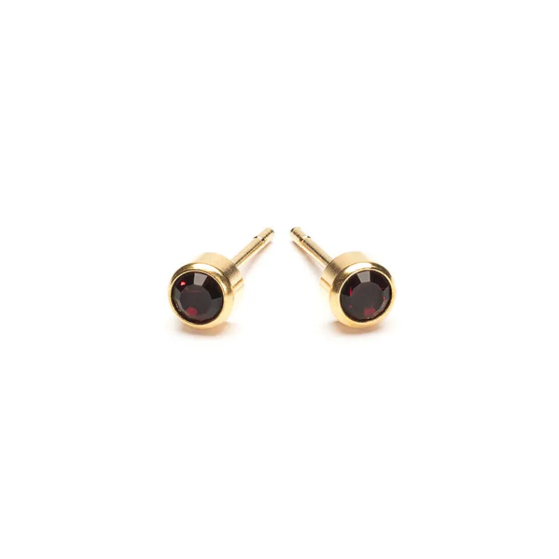 Simply Whispers January Birthstone 14k Gold Plated Earrings Hot