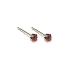 Simply Whispers January Birthstone Stainless Steel Stud Earrings Best