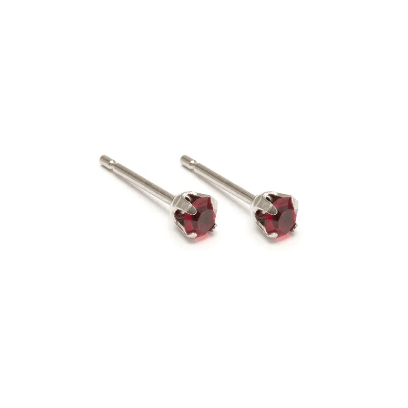 Simply Whispers January Birthstone Stainless Steel Stud Earrings Best