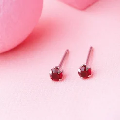 Simply Whispers January Birthstone Stainless Steel Stud Earrings Best
