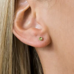 Simply Whispers 14k Yellow Gold Earrings August Birthstone New