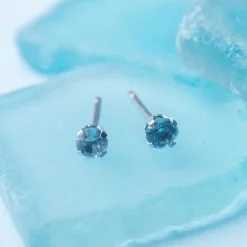 Simply Whispers March Birthstone Stainless Steel Stud Earrings Best