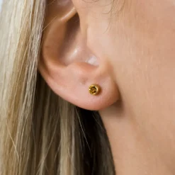 Simply Whispers November Birthstone 14k Gold Plated Earrings Discount