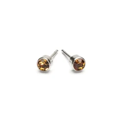 Simply Whispers November Birthstone Stainless Steel Earrings Online