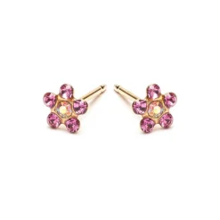 Simply Whispers Rainbow & Pink Gold Plated Daisy Earrings Best