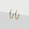 Simply Whispers Rainbow Titanium Huggie Earrings Online