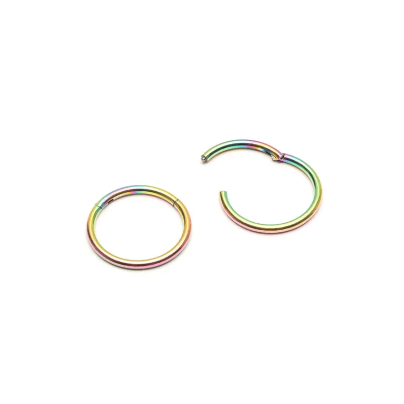 Simply Whispers Rainbow Titanium Huggie Earrings Online