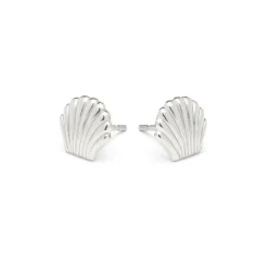 Simply Whispers Stainless Steel Seashell Tiny Stud Earrings New