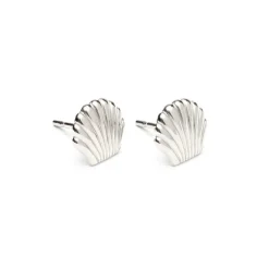 Simply Whispers Stainless Steel Seashell Tiny Stud Earrings New