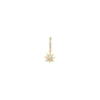 Simply Whispers Stardust Charm Hoop Earring Hot